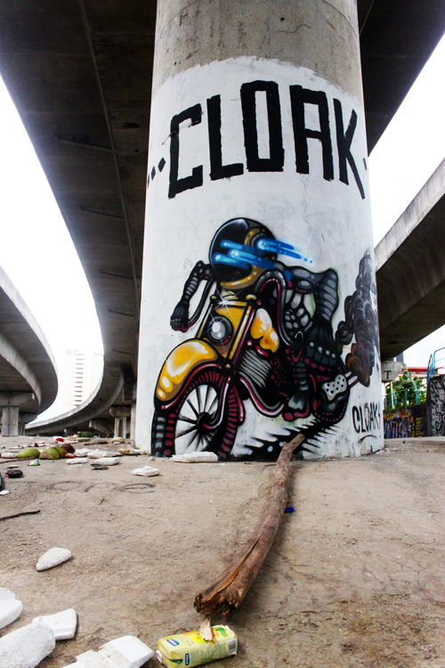 Photo courtesy of Arman Shah