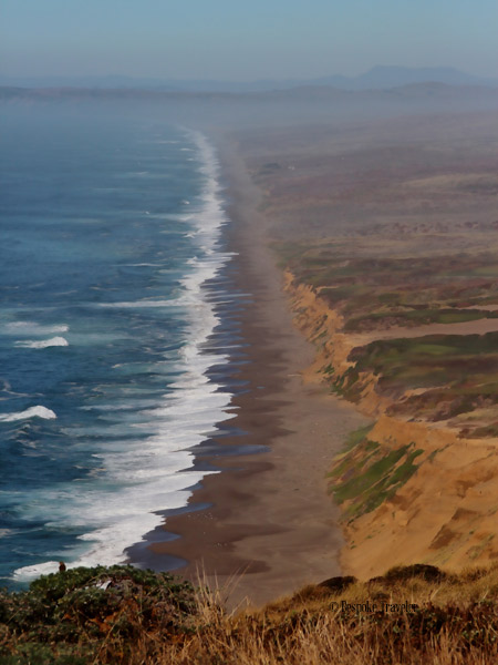 Pt-Reyes-beach-BT
